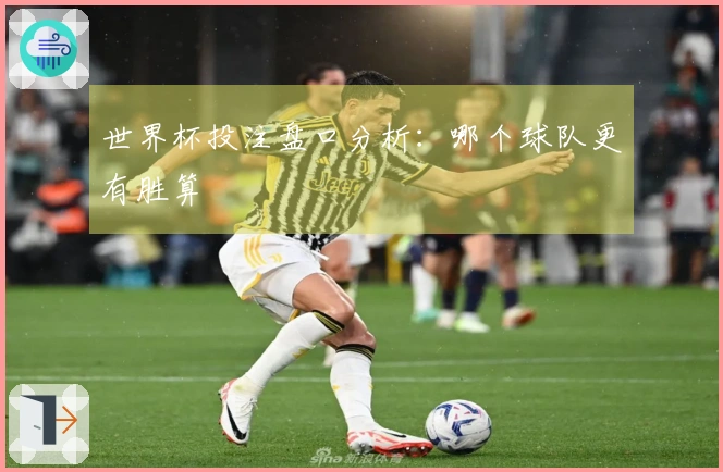 世界杯投注盘口分析：哪个球队更有胜算