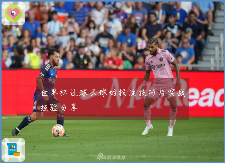 世界杯让球买球的投注技巧与实战经验分享