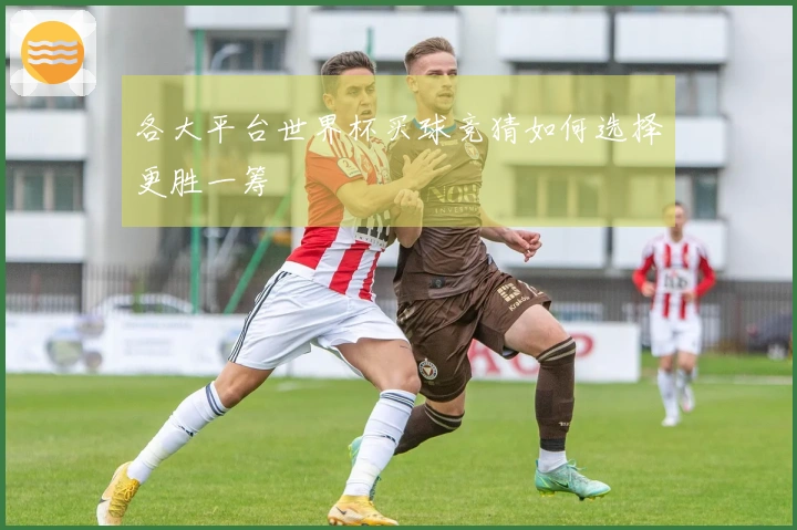 各大平台世界杯买球竞猜如何选择更胜一筹