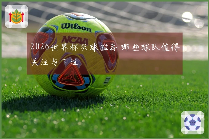 2026世界杯买球推荐 哪些球队值得关注与下注