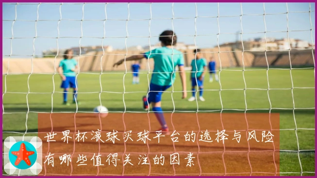 世界杯滚球买球平台的选择与风险有哪些值得关注的因素