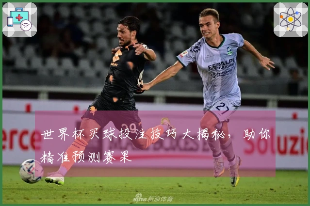世界杯买球投注技巧大揭秘，助你精准预测赛果