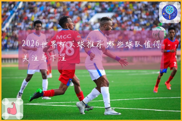 2026世界杯买球推荐 哪些球队值得关注与下注